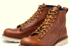 red-wing-2904