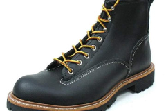 red-wing-2934