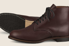 red-wing-9072