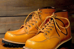 red-wing-9879